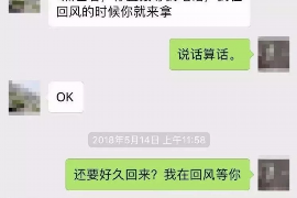 武陵为什么选择专业追讨公司来处理您的债务纠纷？