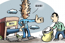 武陵专业催债公司的市场需求和前景分析